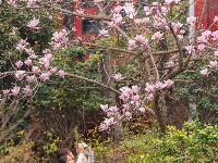 东西湖的春天，你会怎么写？