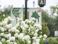 来“尝一口”春日限定~