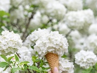 来“尝一口”春日限定~