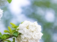 来“尝一口”春日限定~