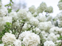 来“尝一口”春日限定~