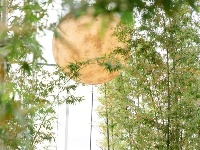 钻进武汉阿那亚，学点干货！