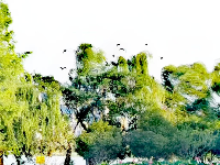 一组粉丝 “照” ，来咯！