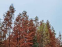 一组粉丝 “照” ，来咯！