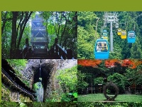 赛博吸氧不必远方，咸丰有自己的“阿勒泰！