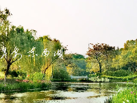 一组粉丝 “照” ，来咯！