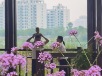 一组粉丝 “照” ，来咯！