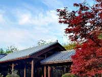 一组粉丝 “照” ，来咯！