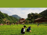 赛博吸氧不必远方，咸丰有自己的“阿勒泰！