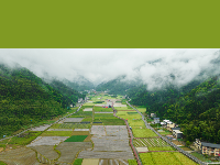 赛博吸氧不必远方，咸丰有自己的“阿勒泰！