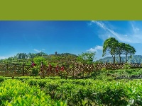 赛博吸氧不必远方，咸丰有自己的“阿勒泰！