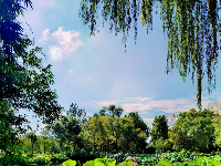 一组粉丝 “照” ，来咯！