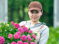 1朵、2朵，5万朵！花海在这儿（免费进）