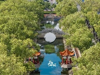 夏日荫凉 “小确幸”