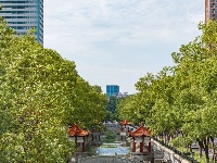 夏日荫凉 “小确幸”