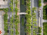 夏日荫凉 “小确幸”