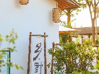 清晨，唤醒你的是黄鹂