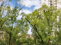 夏日荫凉 “小确幸”