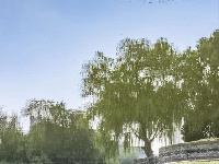 这是什么神仙公园，倒影也太美了吧