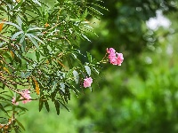 东西湖这里→很绿很治愈