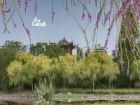 这是什么神仙公园，倒影也太美了吧