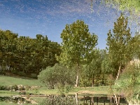 这是什么神仙公园，倒影也太美了吧