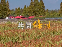 高粱红了，秋天来了