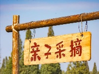 高粱红了，秋天来了