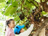 暑假拍了拍你的小屁股说~再见啦！