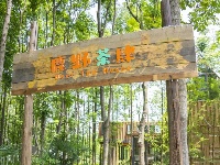 原来TA们，周末都在东西湖这里耍？