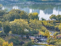 来「黄狮海」 拾花酿秋