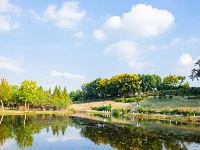 快来，有你爱的“东西湖蓝”