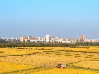 越看越欢喜，东西湖的大地“调色盘”