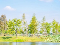 快来，有你爱的“东西湖蓝”