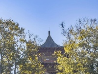 藏在手机相册里的 「秋日东西湖」