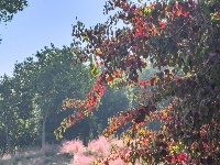 藏在手机相册里的 「秋日东西湖」