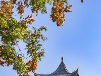 藏在手机相册里的 「秋日东西湖」