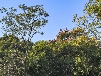 藏在手机相册里的 「秋日东西湖」