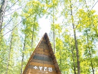 东西湖这些地方 萌化你的心