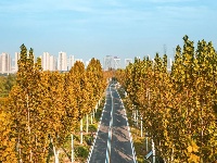 东西湖最美的秋天，应该就是这儿吧？