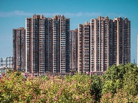 在东西湖，一个下午遇见一年四季