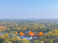 古刹遇上秋色，真的很“出片”