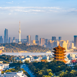 湖北，蛮扎实！