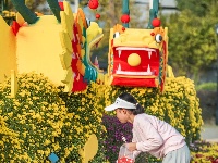 花开得“刚刚好”！你何时来？