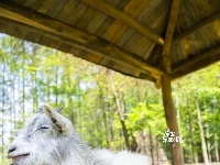 东西湖这些地方 萌化你的心