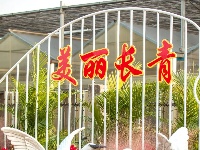 花开得“刚刚好”！你何时来？