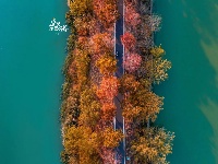 东西湖这里水杉红了！（第二弹）