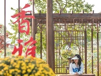 花开得“刚刚好”！你何时来？