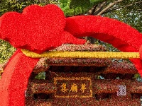 花开得“刚刚好”！你何时来？