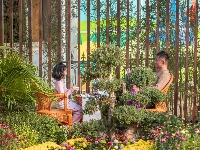 花开得“刚刚好”！你何时来？